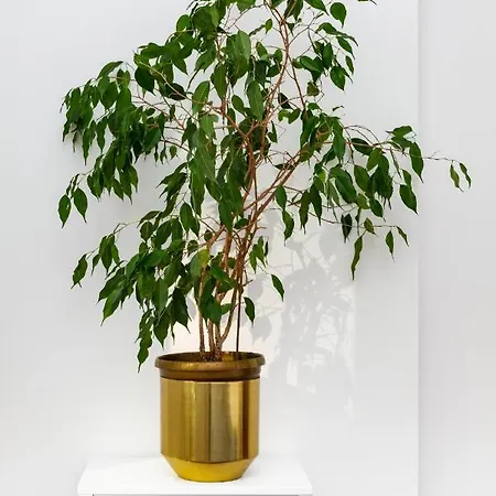 Hoza 35 By Homeprime 바르샤바